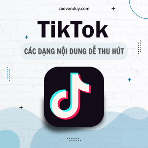 TỔNG HỢP CÁC DẠNG NỘI DUNG DỄ THU HÚT TRÊN TIKTOK